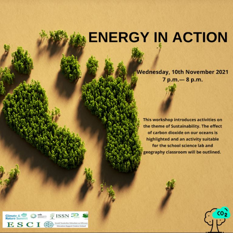 Energy in Action 9