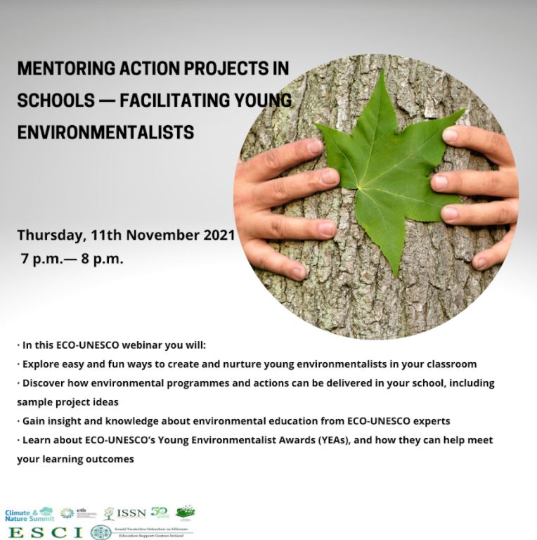 Mentoring Action Projects 10