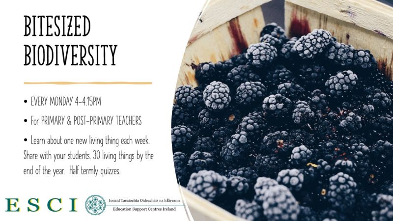 bitesized biodiversity esci