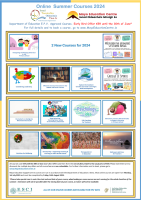 24TRA386 Online Summer Courses