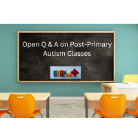 25TRA068 Open Q&A on Post-Primary Autism Classes