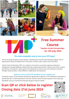 24TRA366 Teacher Artist Partnership+ 2024 Summer Course Enhancing Arts and Creativity in Education in Ireland