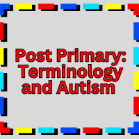 24TRA337 Post Primary - Terminology and Autism 
