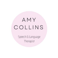 24TRA283 SLT Supports for Primary Autism Classes