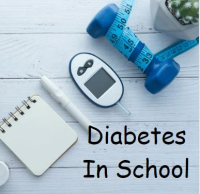 24TRA385 2-Part Diabetes In School Webinar Series
