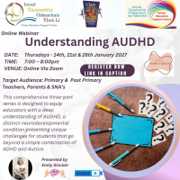 27TRA008 Understanding AUDHD